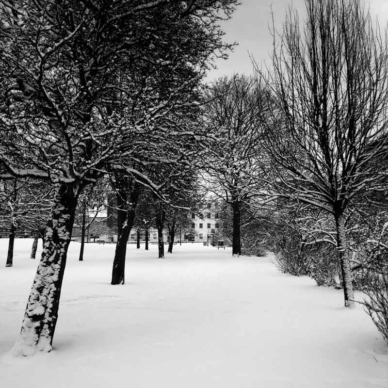 Glasgow Snow