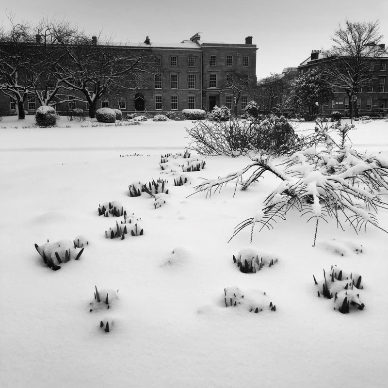 Glasgow Snow