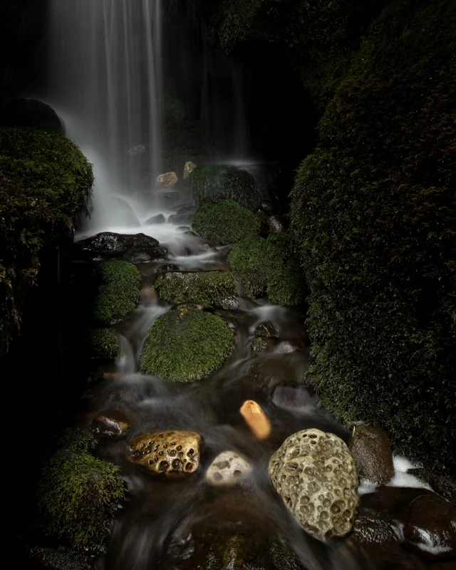 Lightfall