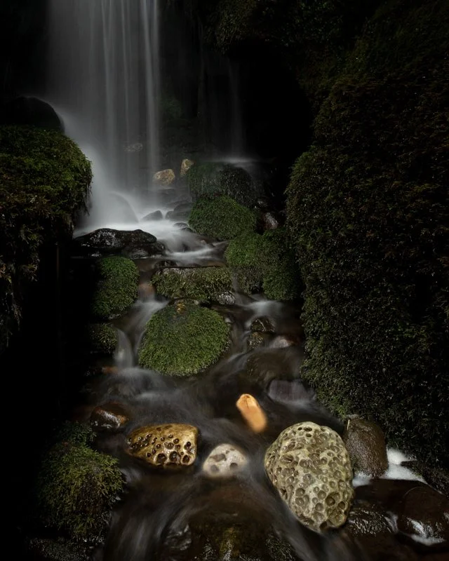 Lightfall