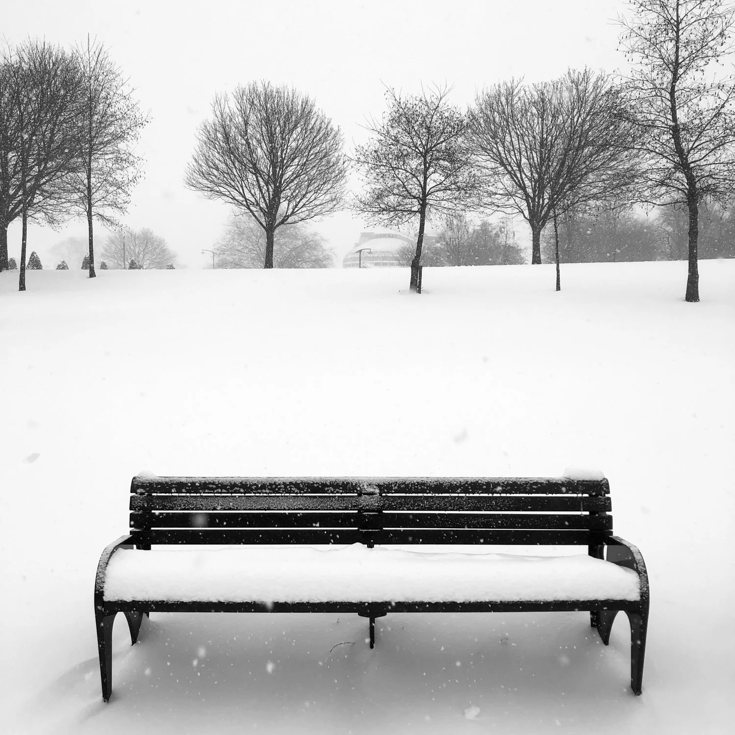 - IMG_9349 - circa35mm.jpg