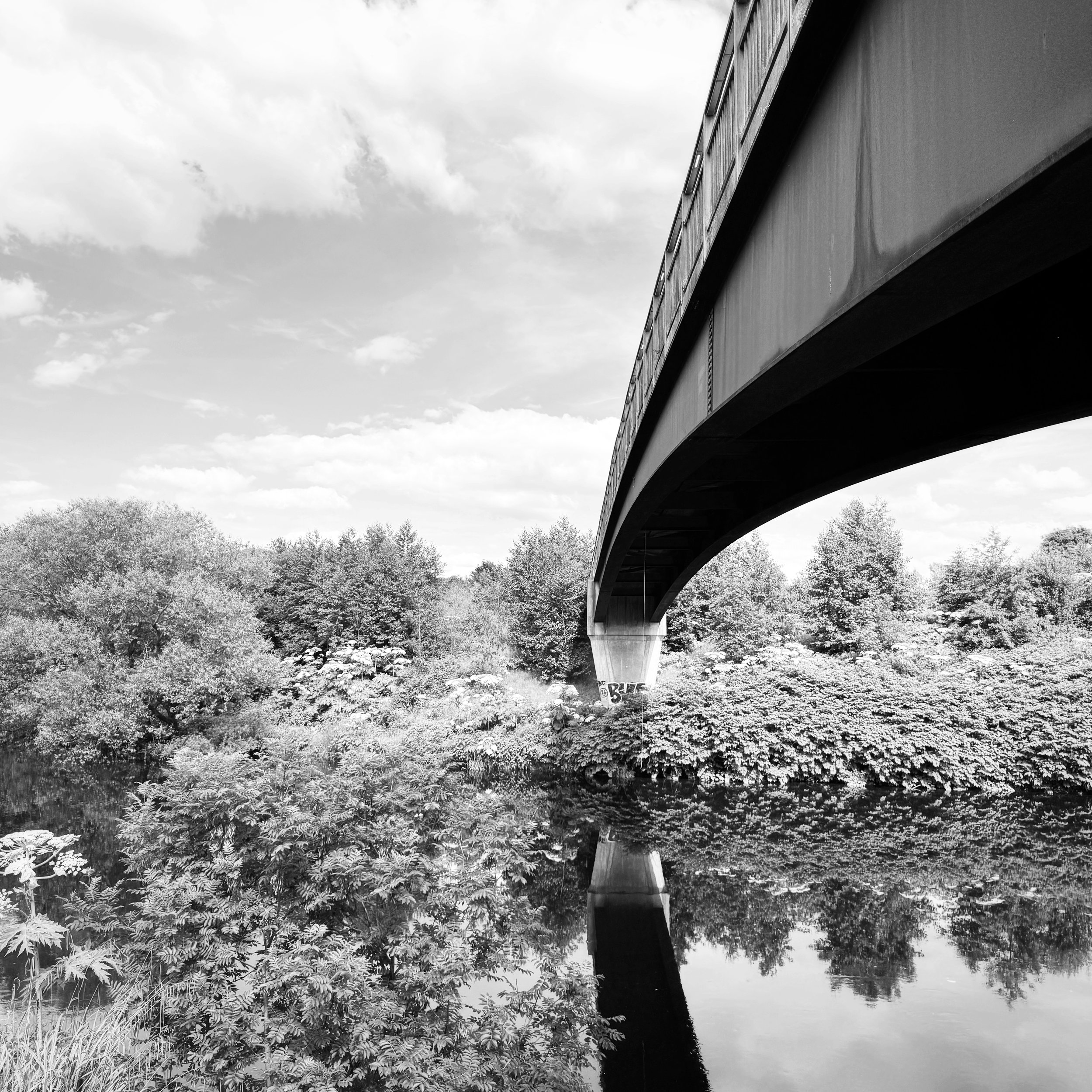Crossing

Cycling along the river, there are many beautiful bridges, pedestrian, vehicle and train.

This one particularly stands out, the strong bold blacks of the bridge standing out against the summer foliage of the trees.