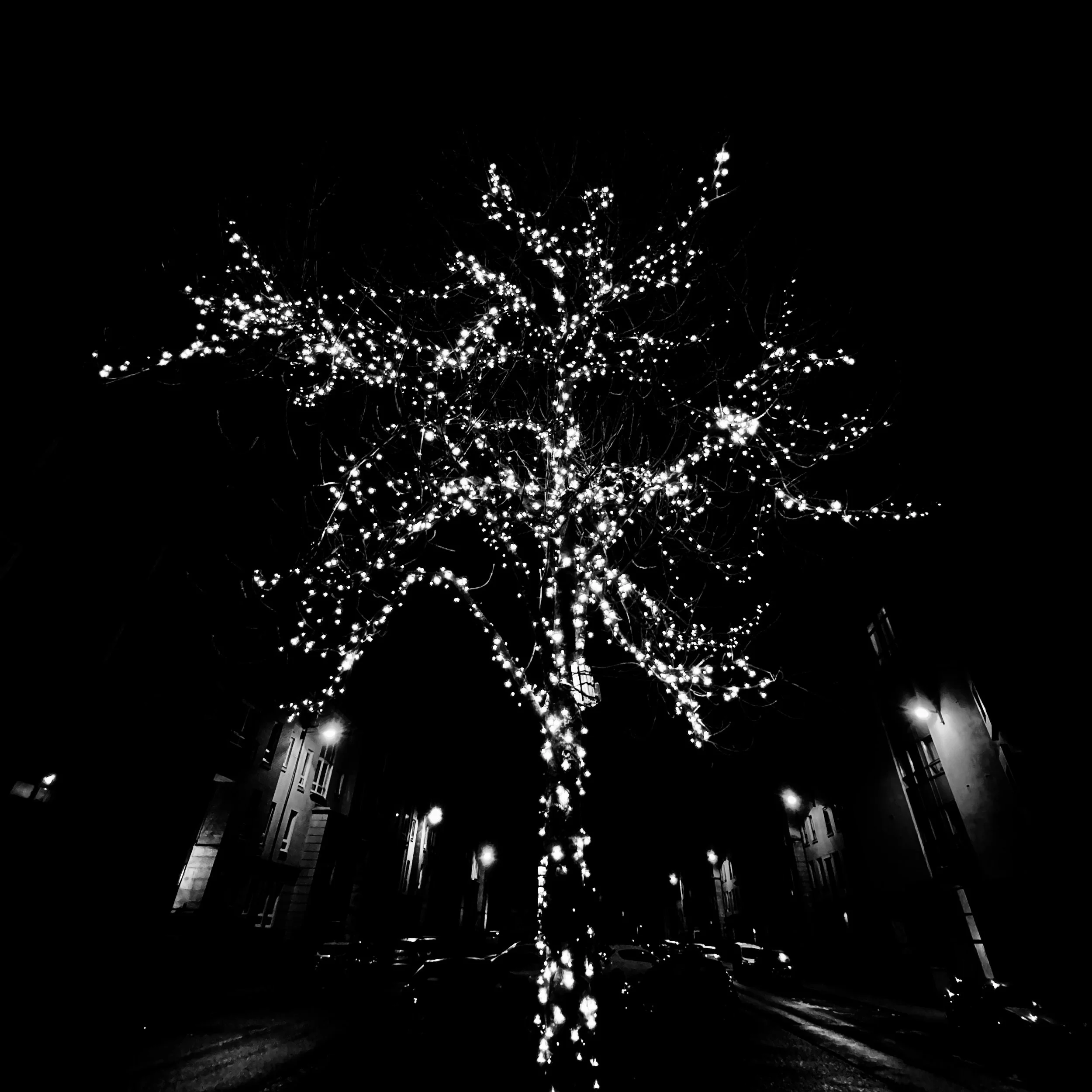 One of three options for my weekly phone image, I liked the way in which this lit up the dark streets on a winters morning, the feeling of life.