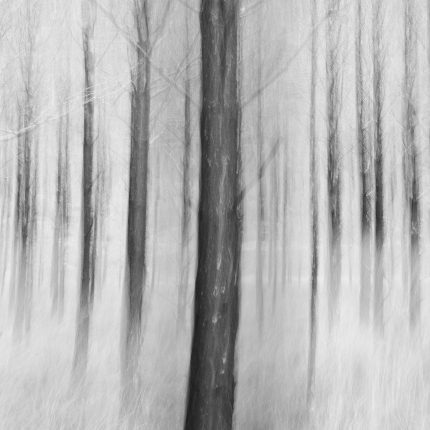 - DSC_4278-Edit-2 - circa35mm.jpg