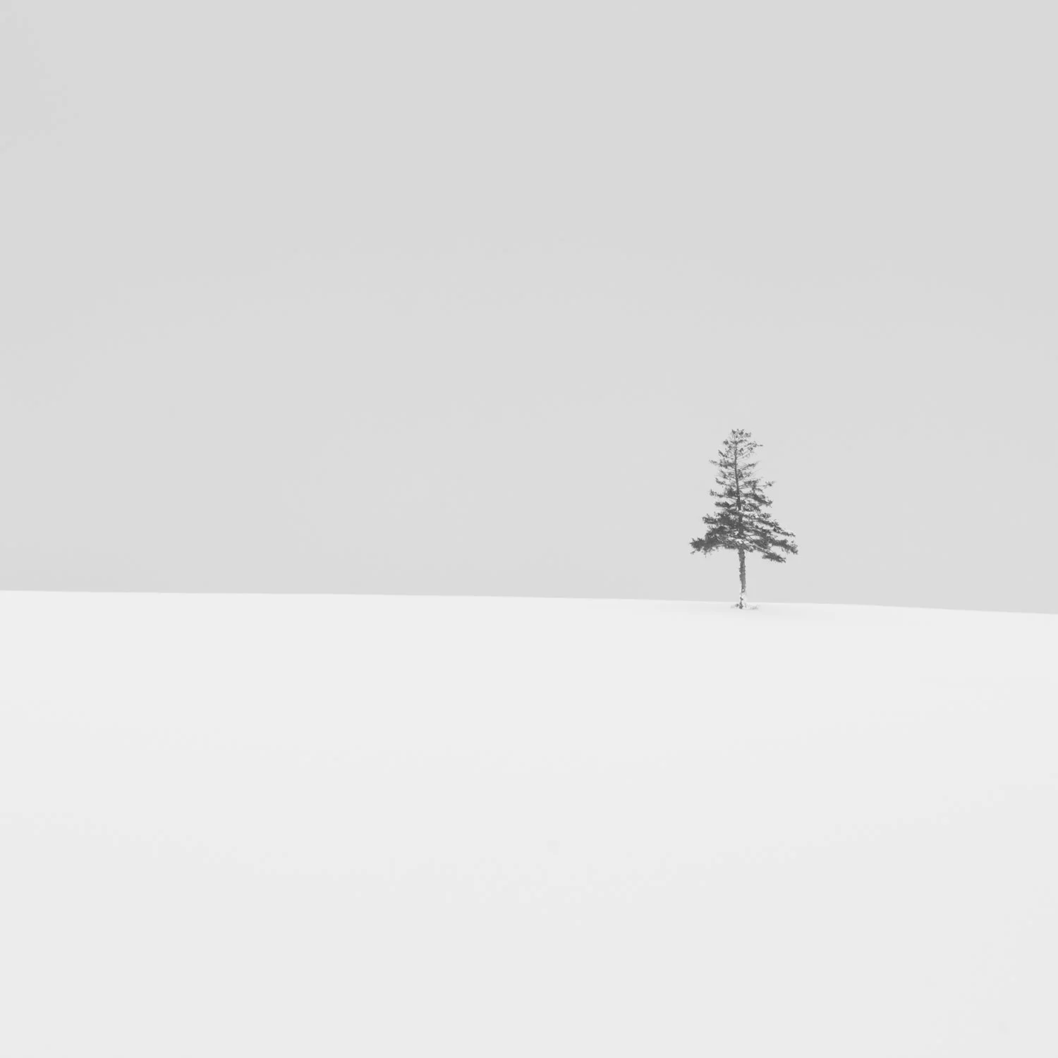 - _C356696-Edit-3 - circa35mm.jpg