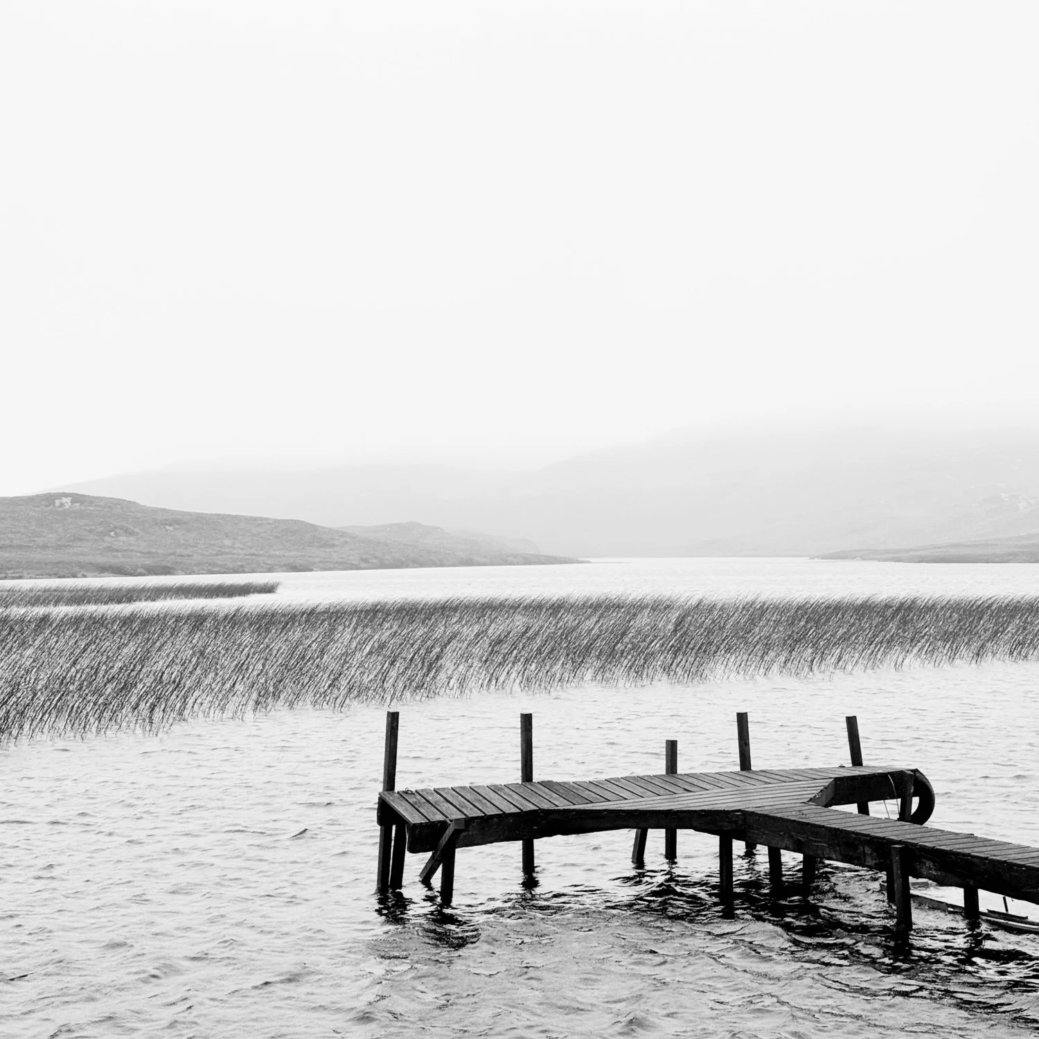 Harris Reeds - IMG_8069 2 - circa35mm.jpg