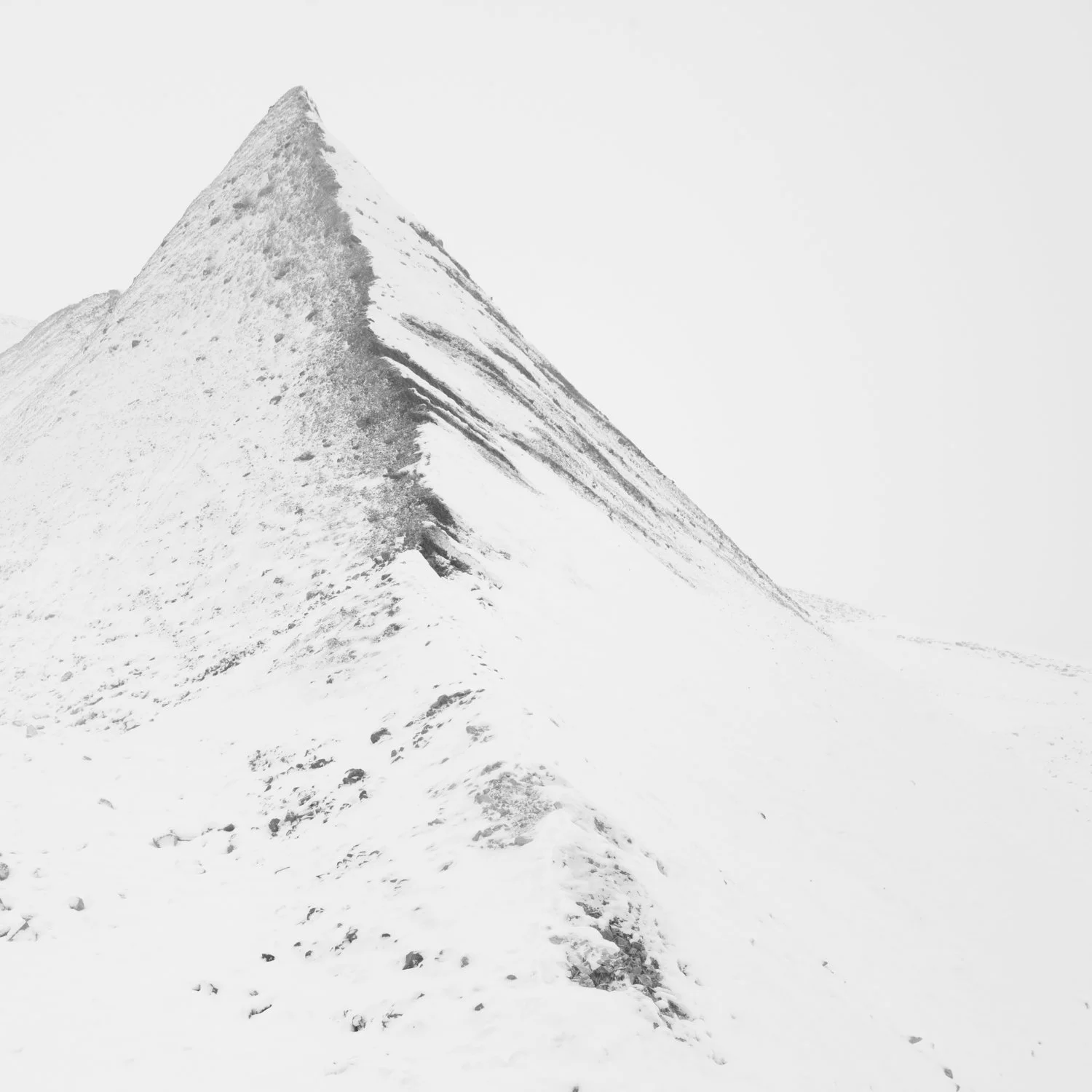 Ridge Point #4 - _C350087-Edit-2 - circa35mm.jpg