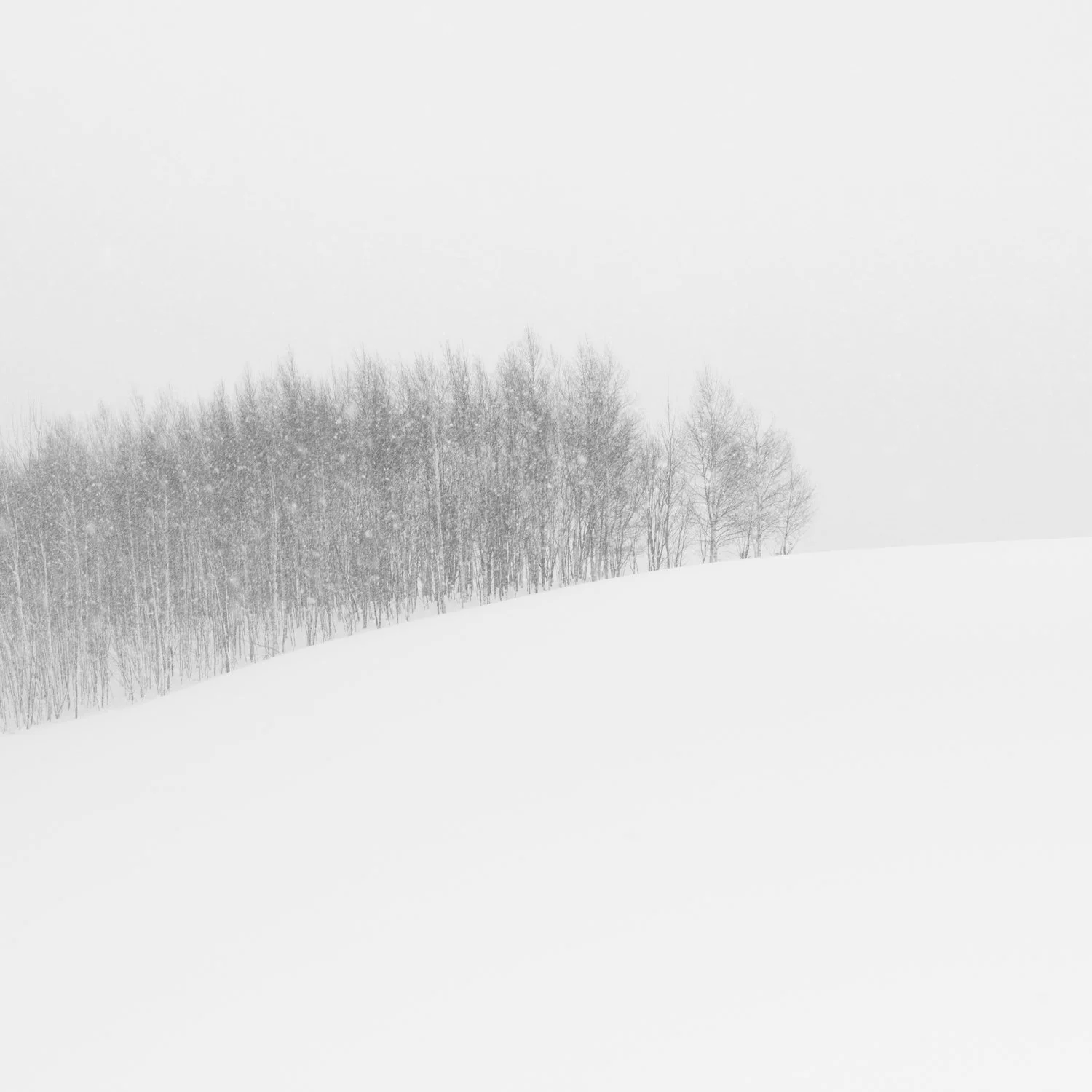 - _C356586-Edit-3 - circa35mm.jpg