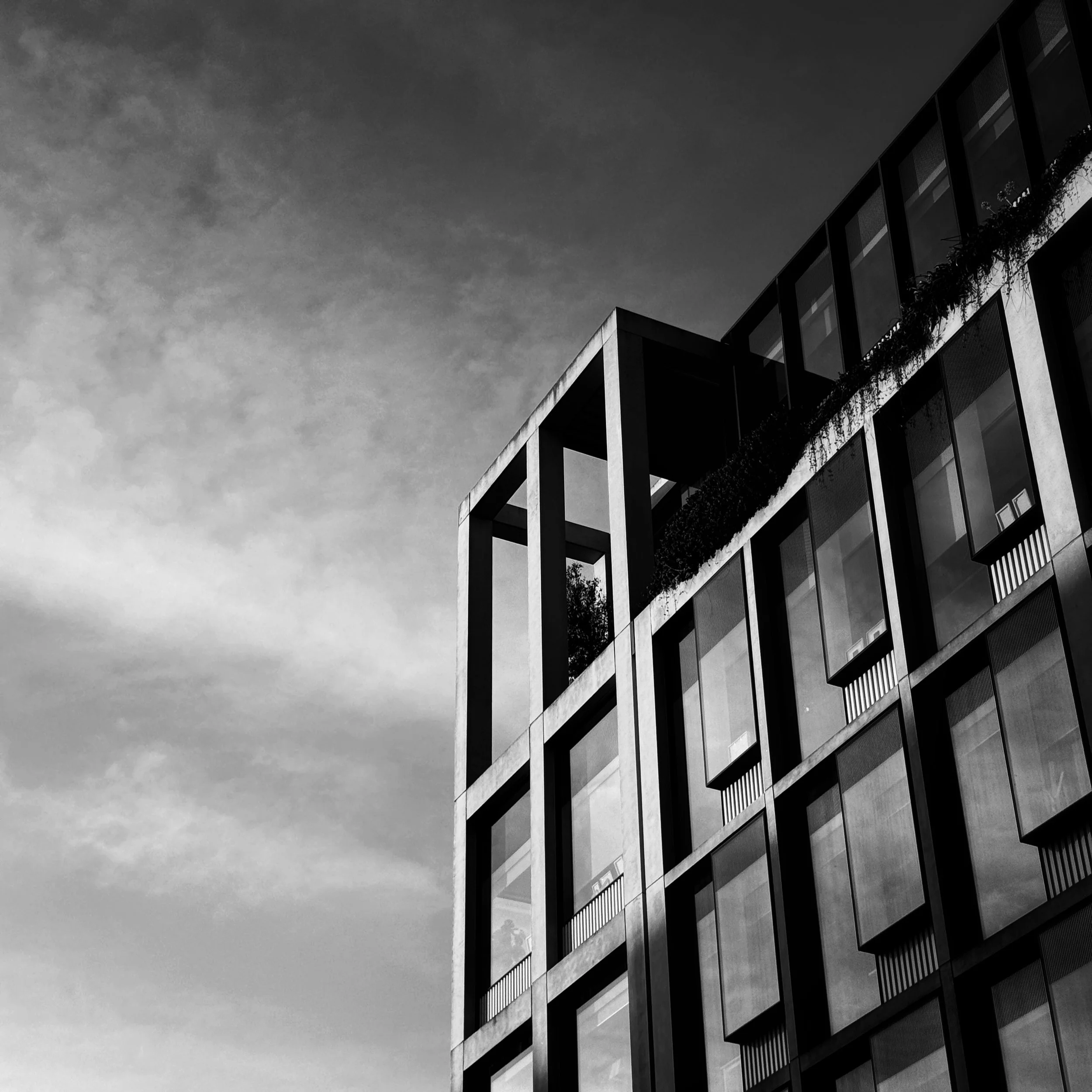 Two months in and #myweeklyphoneimage has kept my interest and brain thinking photography, as without it I have basically done nothing.
I am enjoying looking up as much as I am looking down, the bold shapes set against and clear or interesting sky,