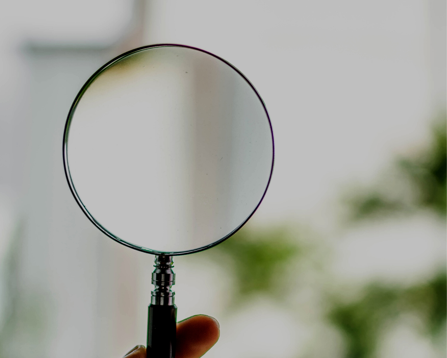 Copy of Copy of Copy of Copy of Untitled-2.png