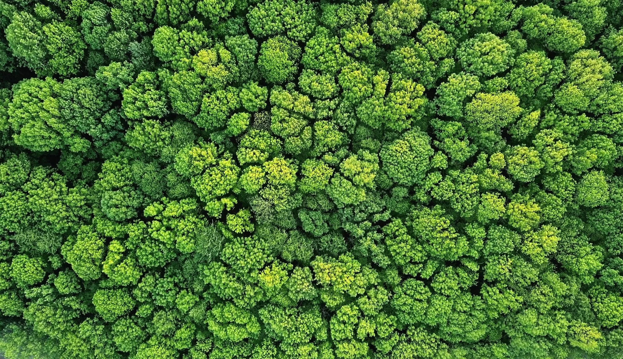 Christian Imperative for Creation Care