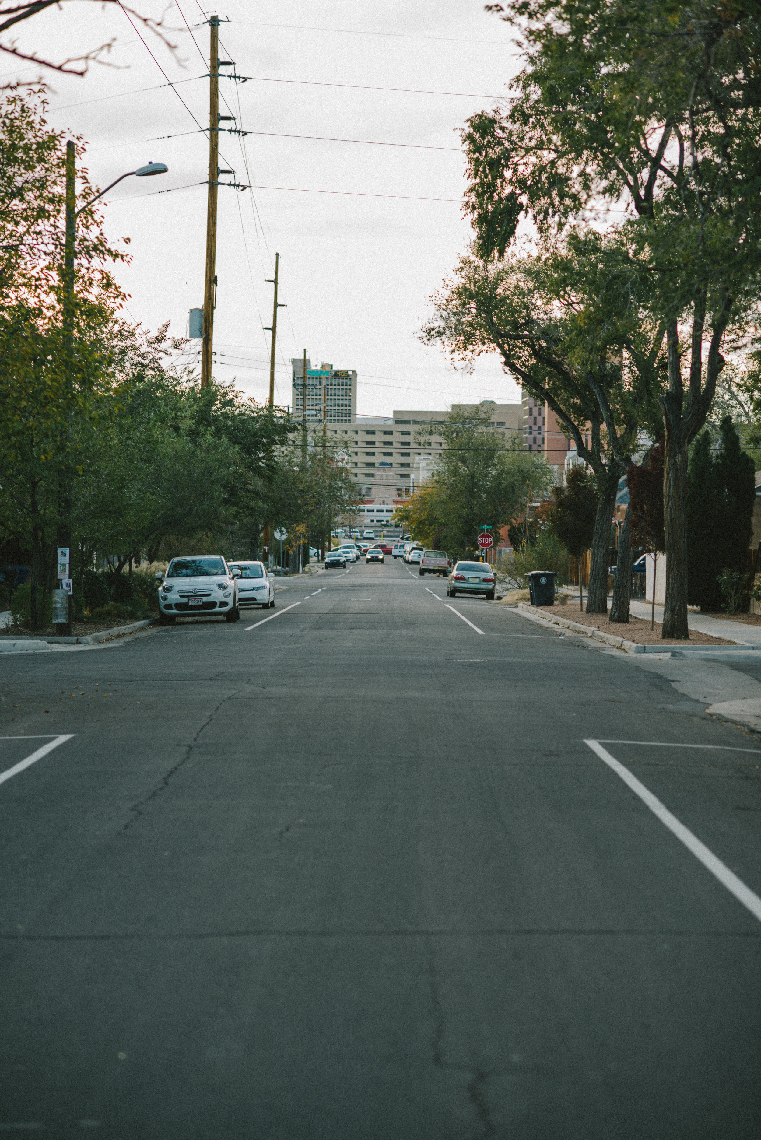 DSC_0825.jpg