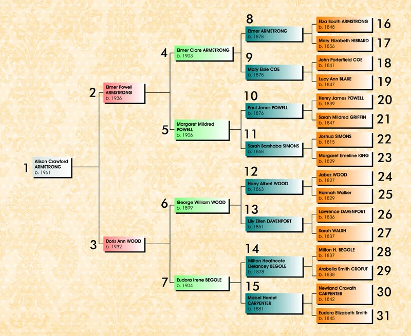 A five-generation chart, numbered from 1 to 31. The numbering system on a standard pedigree chart holds the perfect clue to organizing your family history book.