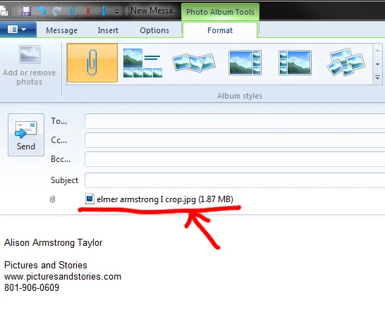 Your attachment will show up in the attachment bar just beneath the subject.