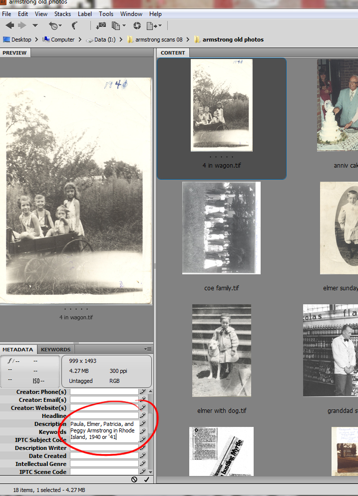 You can also type metadata directly into Bridge. If you have more than one photo selected, the info will appear with each selected photo.