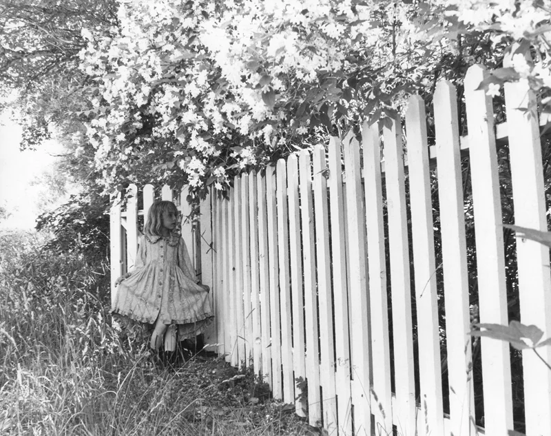 This photo makes good use of diagonal lines of the fence which point to the subject.