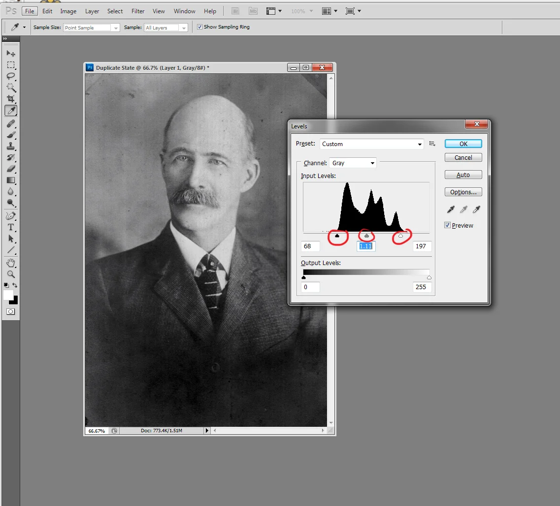 Now the sliders are closer to the edges of the histogram hills, and the contrast is much better.