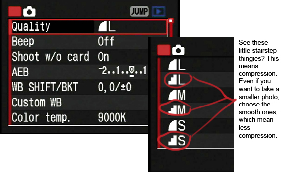 If you want to be able to print a photo, use the largest file size. If you will only be using these photos to text or socialize, you can fit more on your camera's media by using a smaller size, but still try to avoid the "stairstep" or compressed settings.