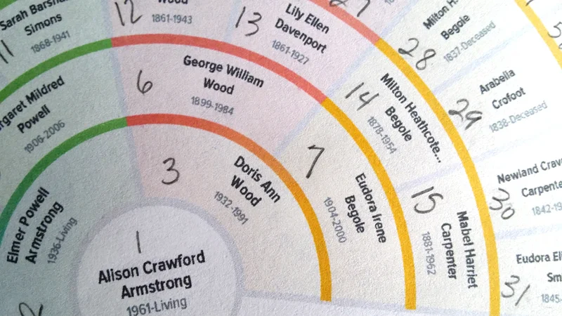 The numbers flow from left to right, generation by generation. I am #1, my dad is #2, mom #3, etc.