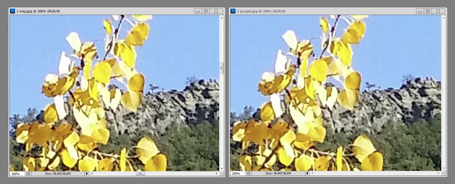 Here's the same photo zoomed in 200%. This photo would look much better at this zoom if taken with a "real" camera, but the point is that the compressed photo on the right is virtually indistinguishable from the one on the left. 