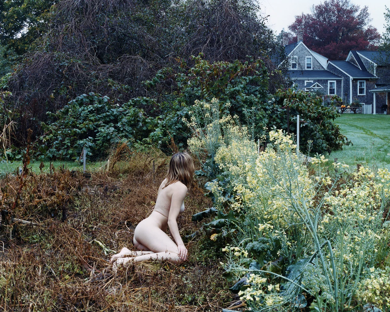 AWilson1.jpg