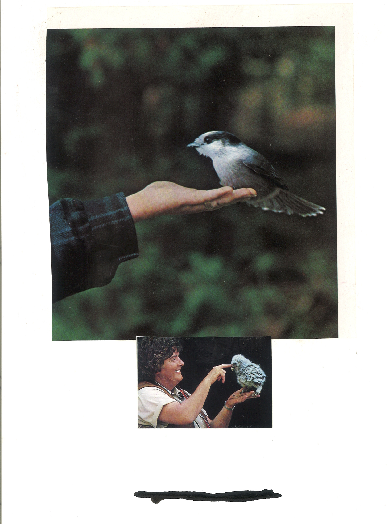A Bird in the Hand.jpg