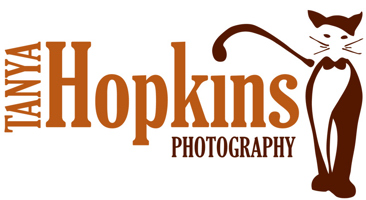 Tanya Hopkins Photography specializing in cat & dog photography on the Main Line, Kennett Square, Exton, Lititz, Malvern