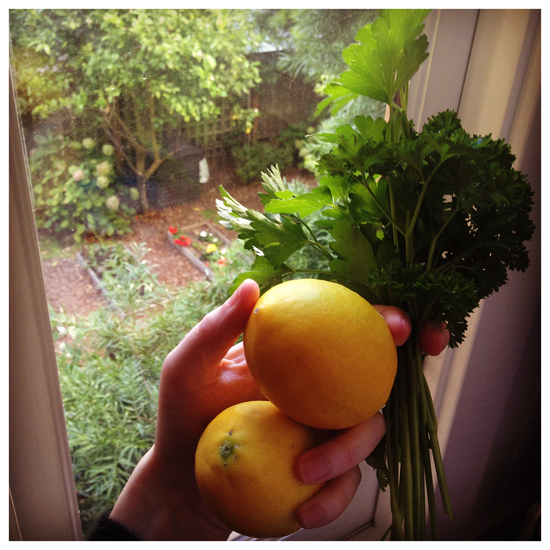 Garden loot and our view into our neighbor's garden