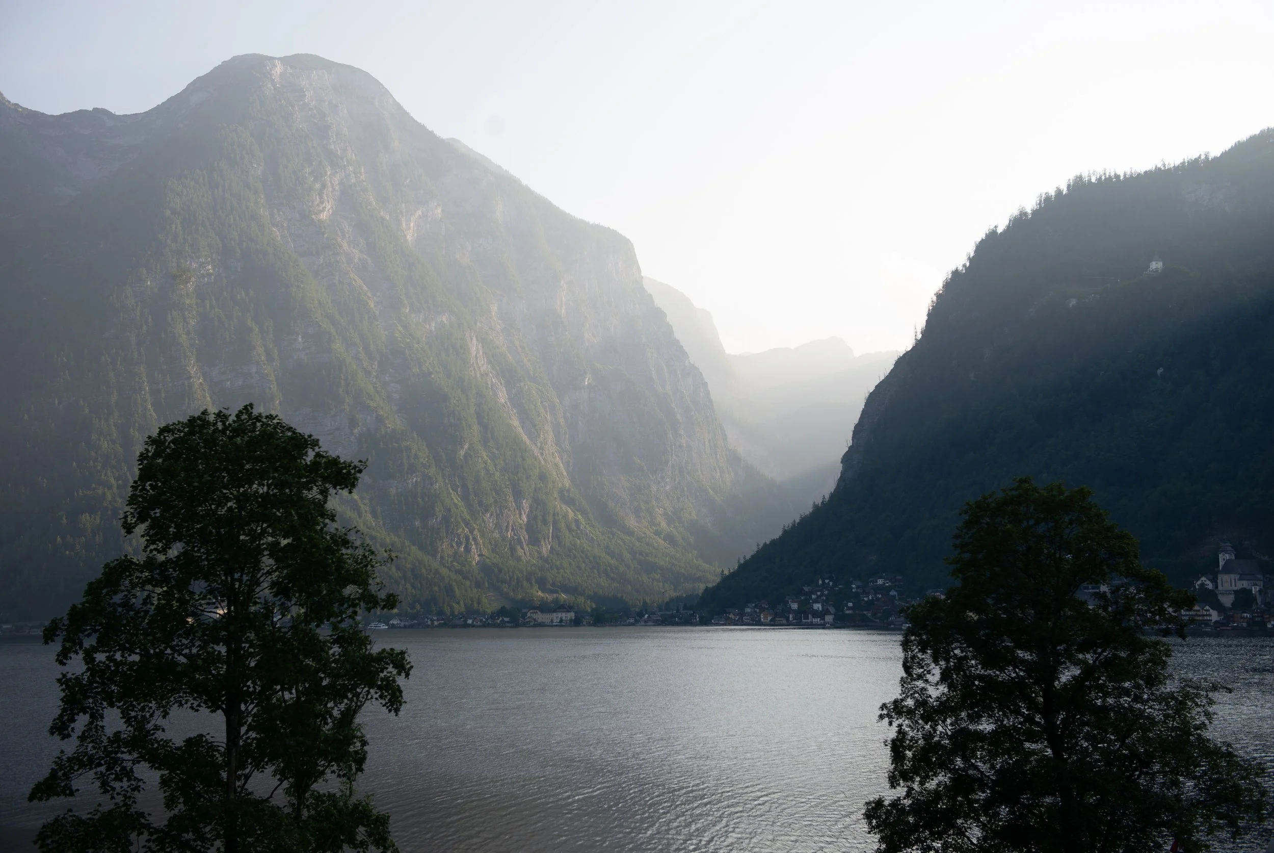 DSC_4593.jpg