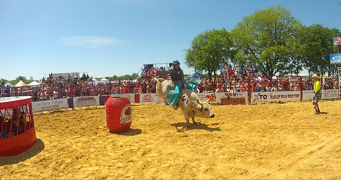 Haslet bull and crowd shot 2013.png