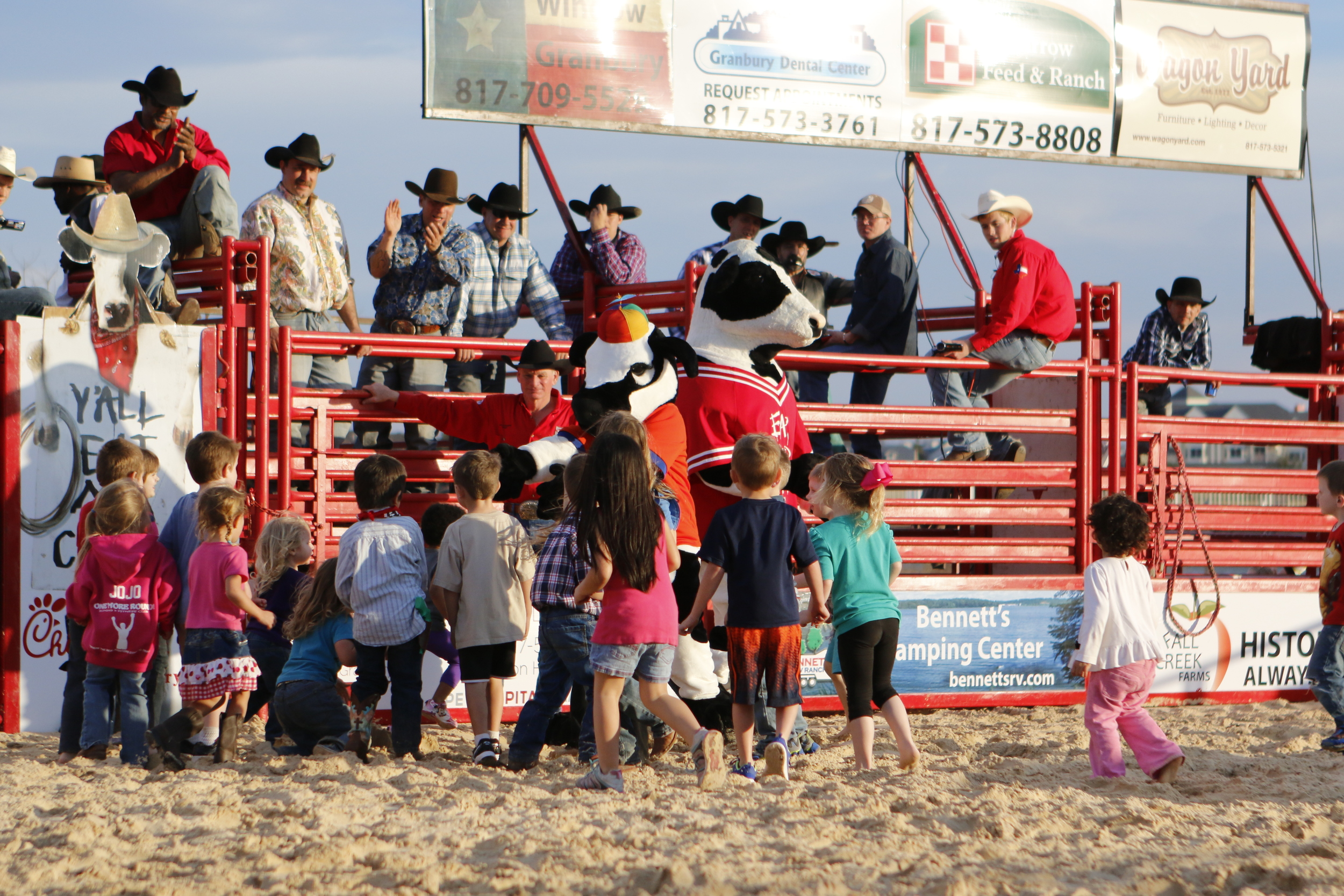 Chick-Fil-A Calf Scramble.JPG