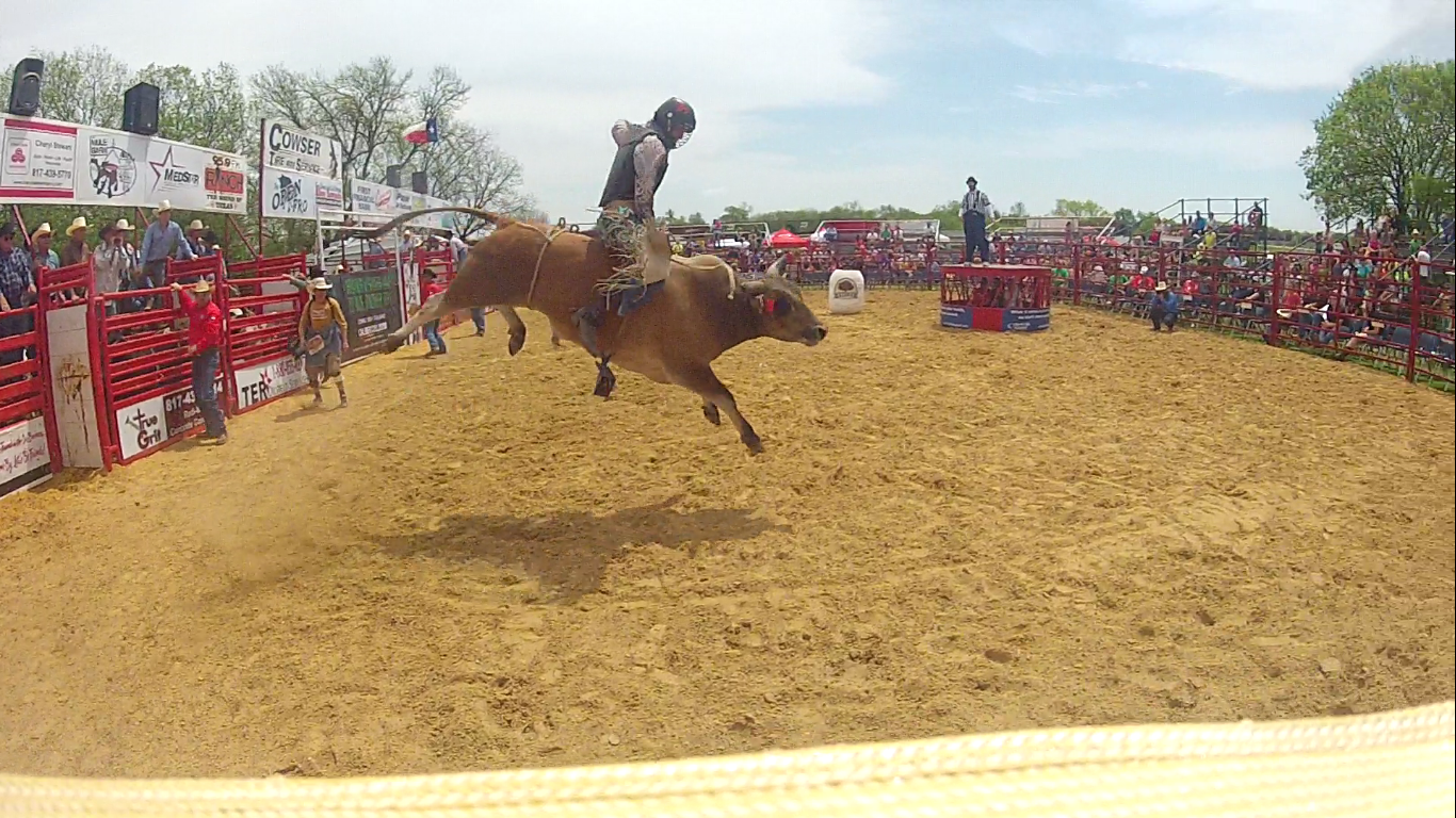 haslet 14 mikes bull 69.png