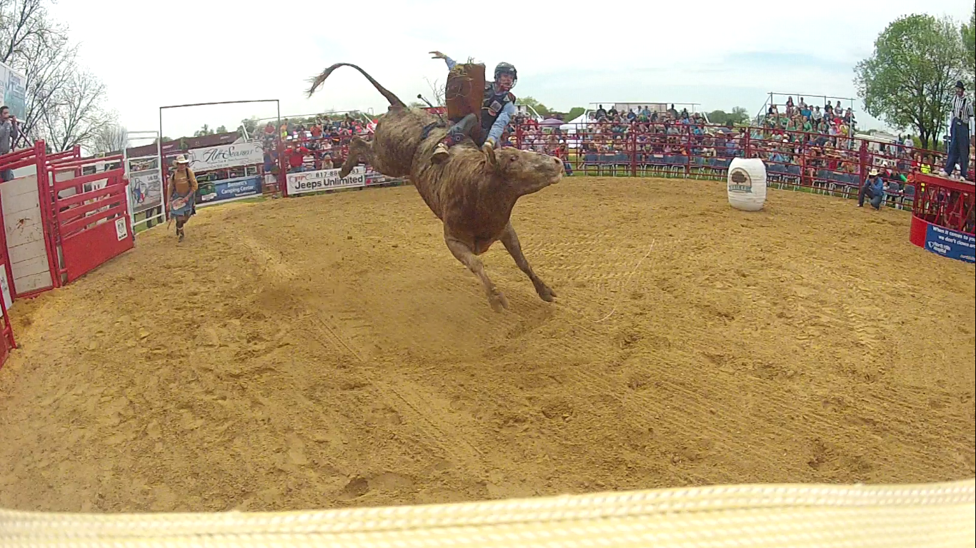 haslet 14 muley brindle.png