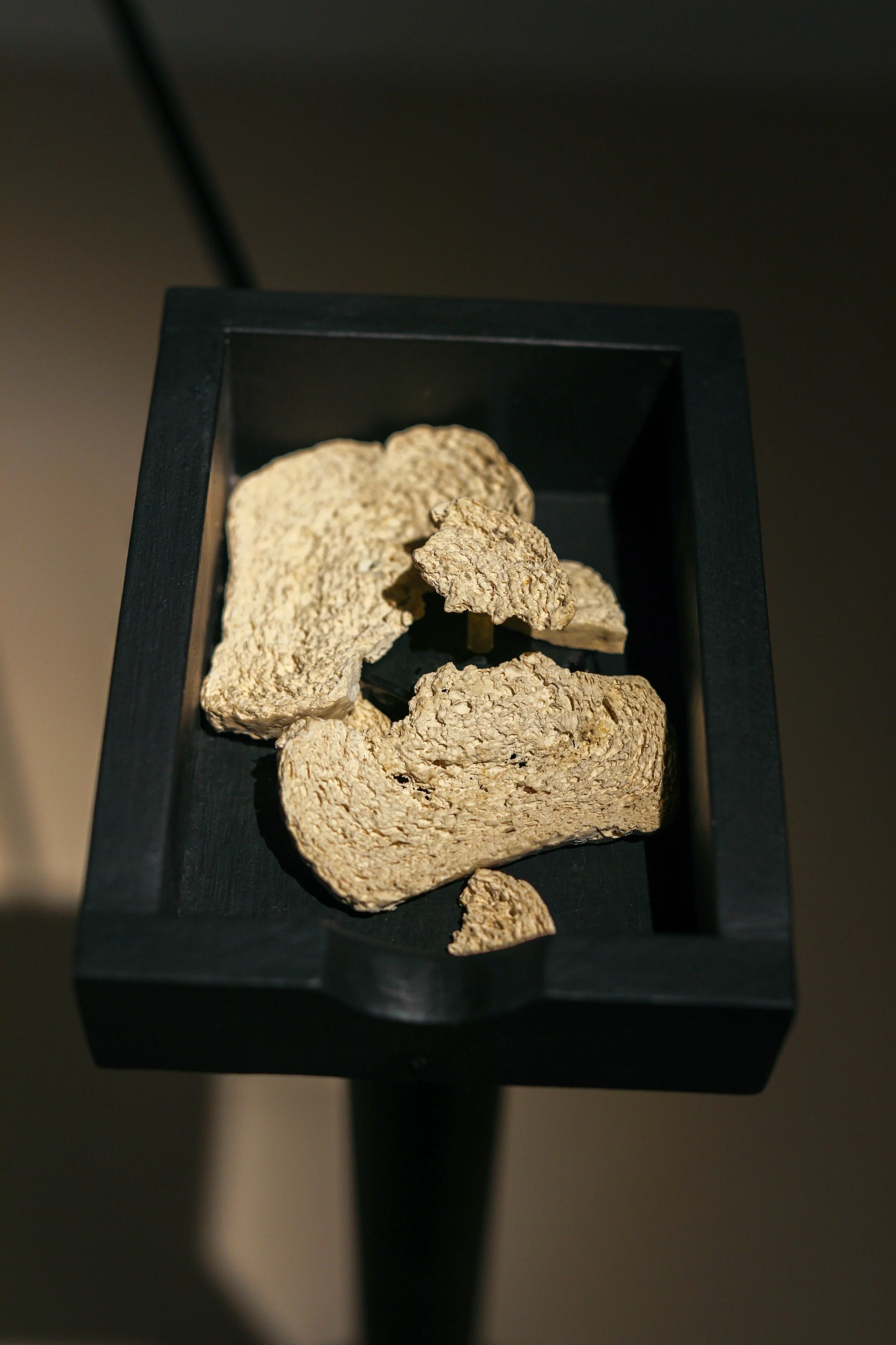 Becky Sellinger - All Best by Theo Cote -47.jpg