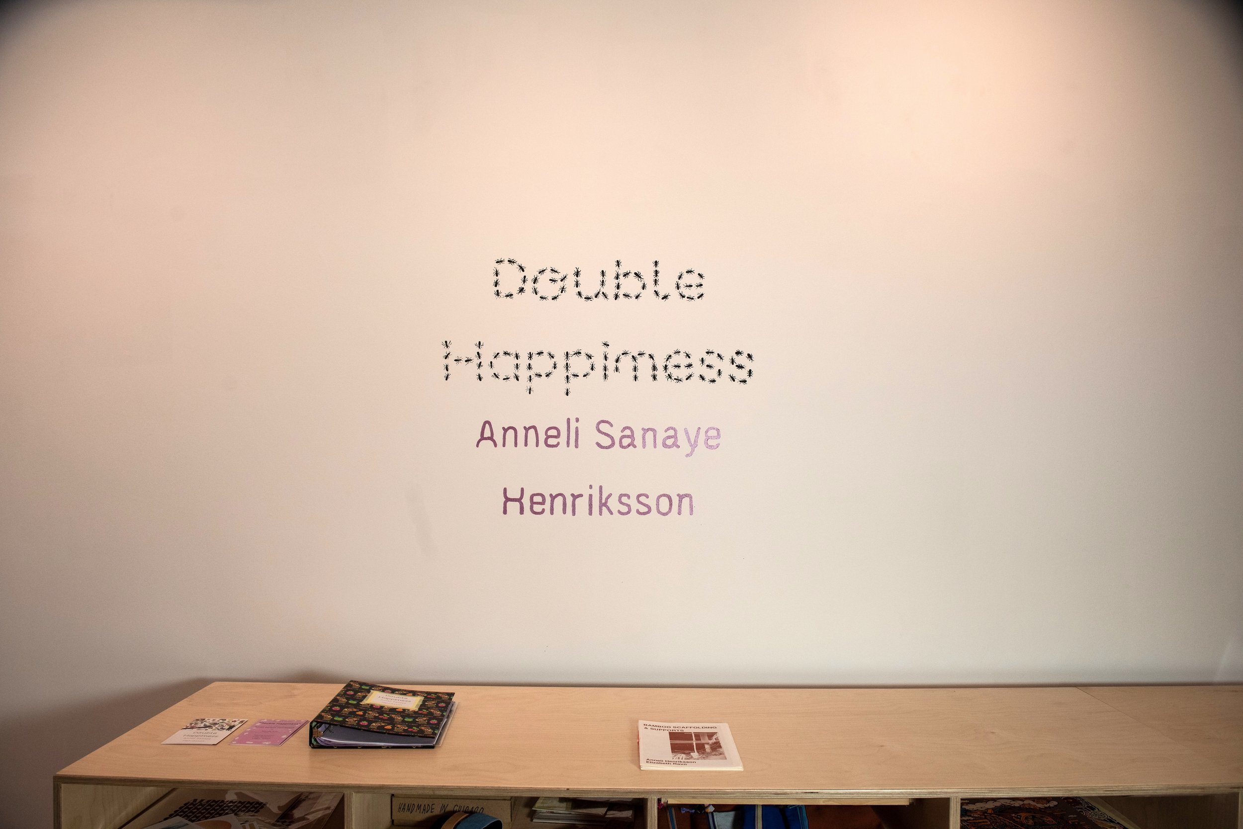 7_anneli_henriksson.jpeg
