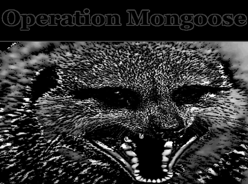 Mongoose Main Graphic.png