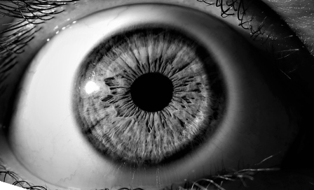 Eye Graphic.png