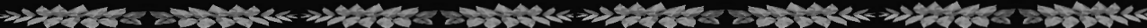 CIA ash leaves joined lg.png