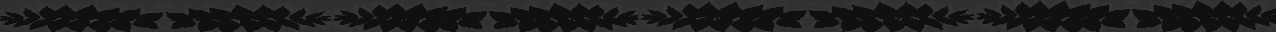 CIA ash leaves joined dk grey.png