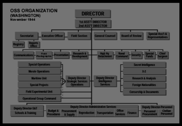 OSS Hierarchy 2.png