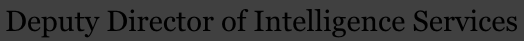 DD Intelligence Services.png