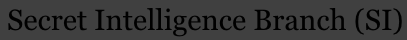 SI Branch.png
