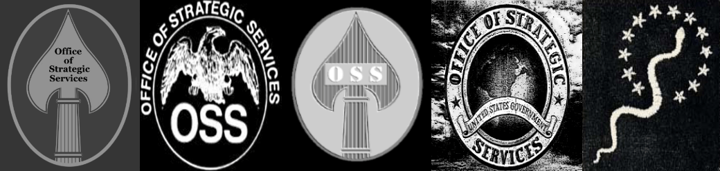 OSS Banner.png