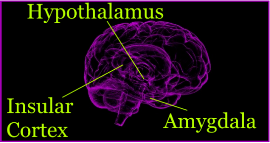 History and Biology Double Feature