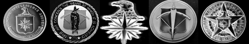 CIA Page Top Background Banner.png