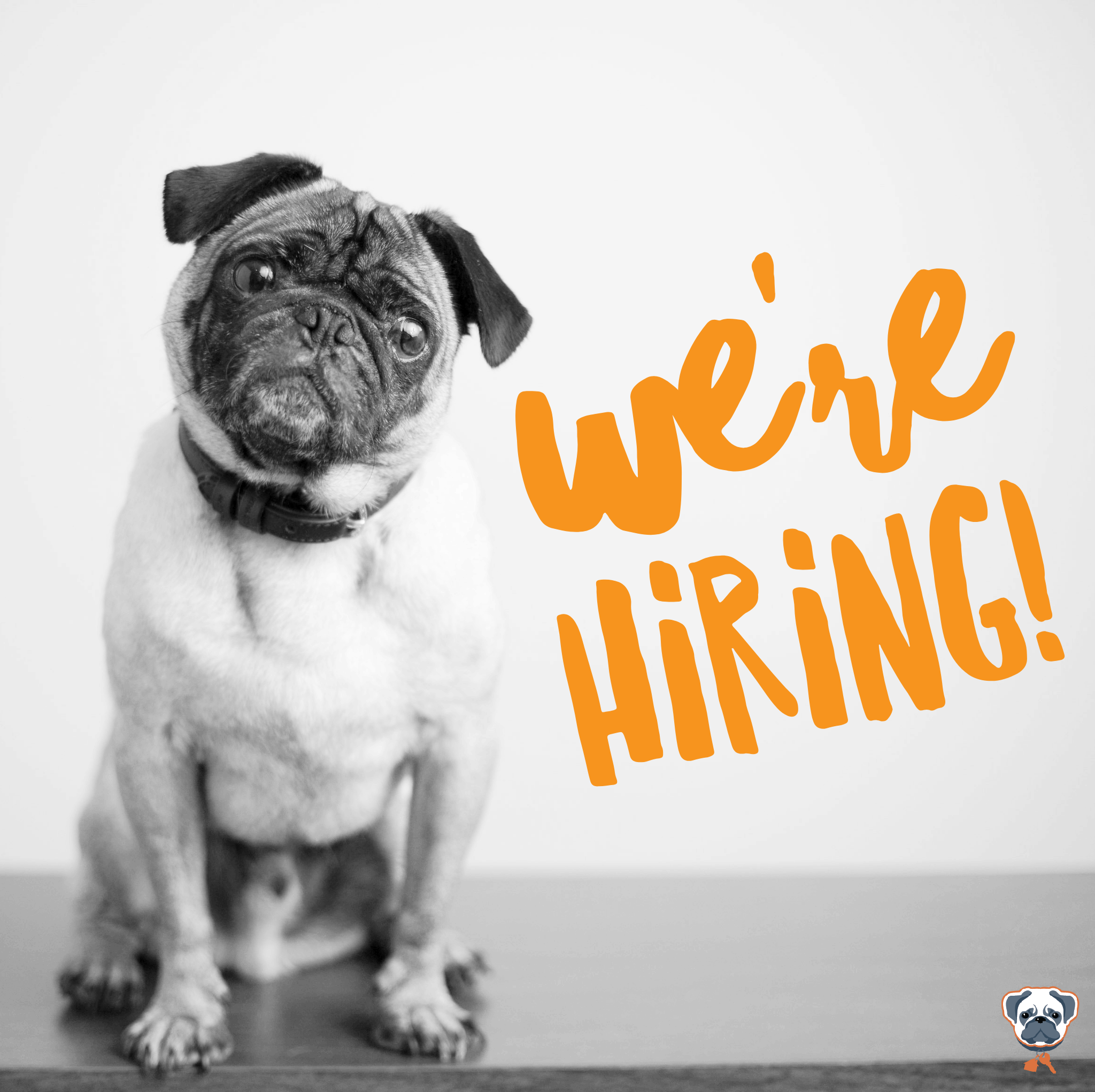 We're Hiring.png