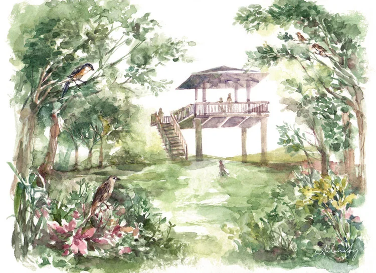 Nuvali Bird Watching