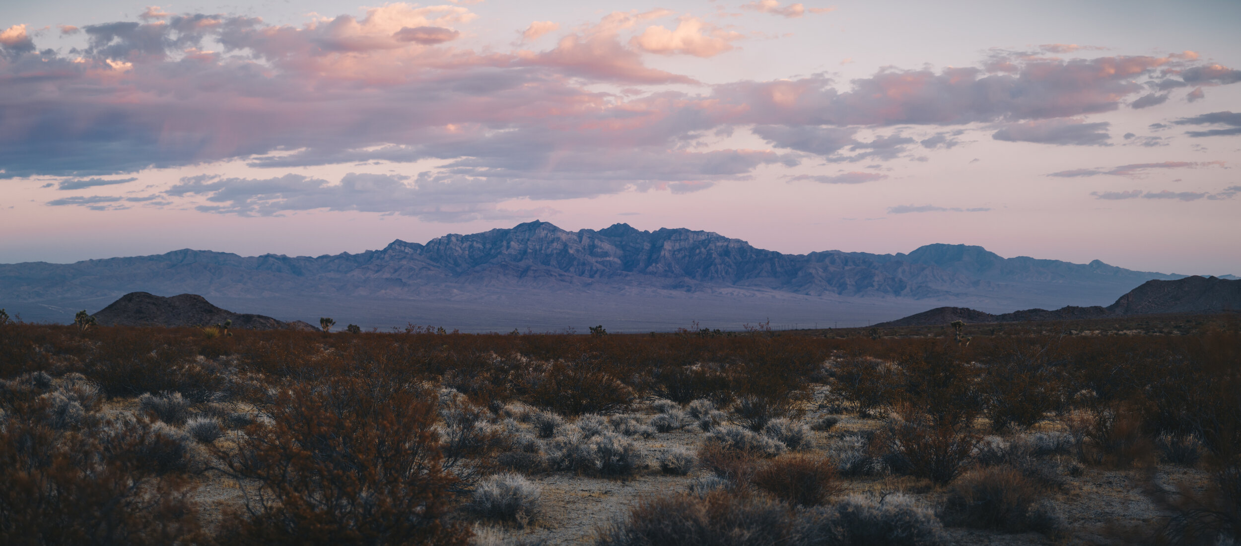 Mojave2020-.jpg