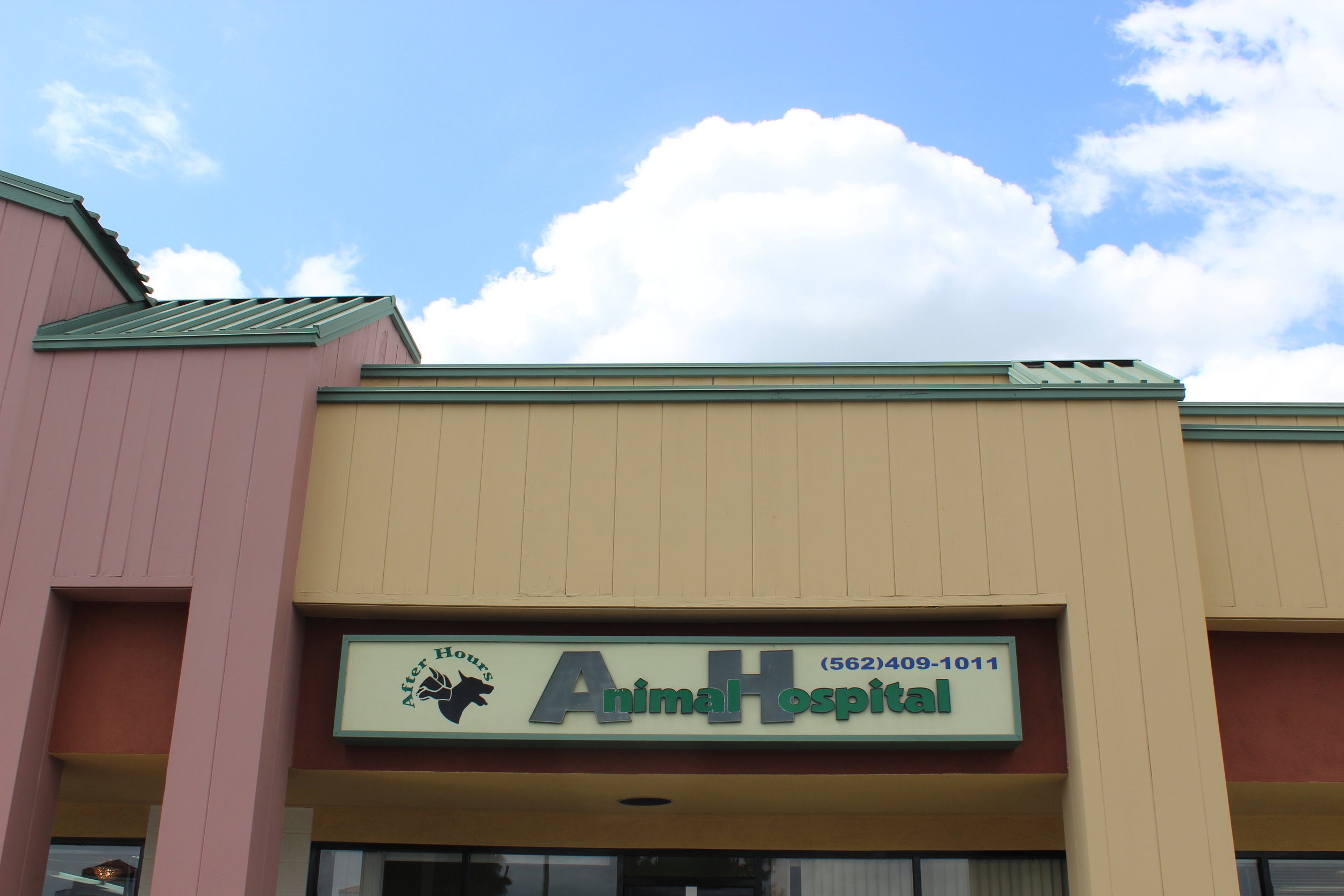 after hour animal clinic