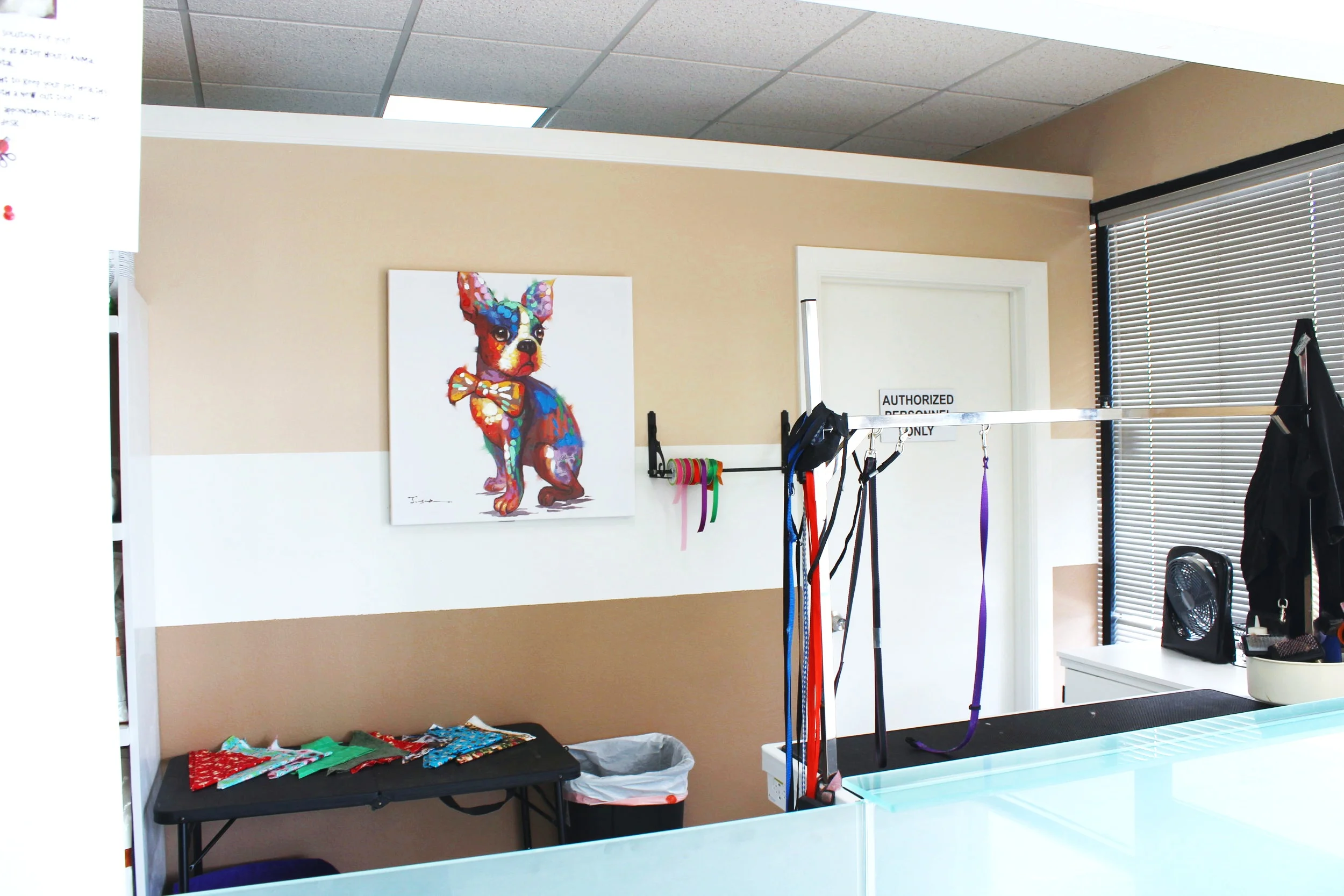 animal hospital after hours